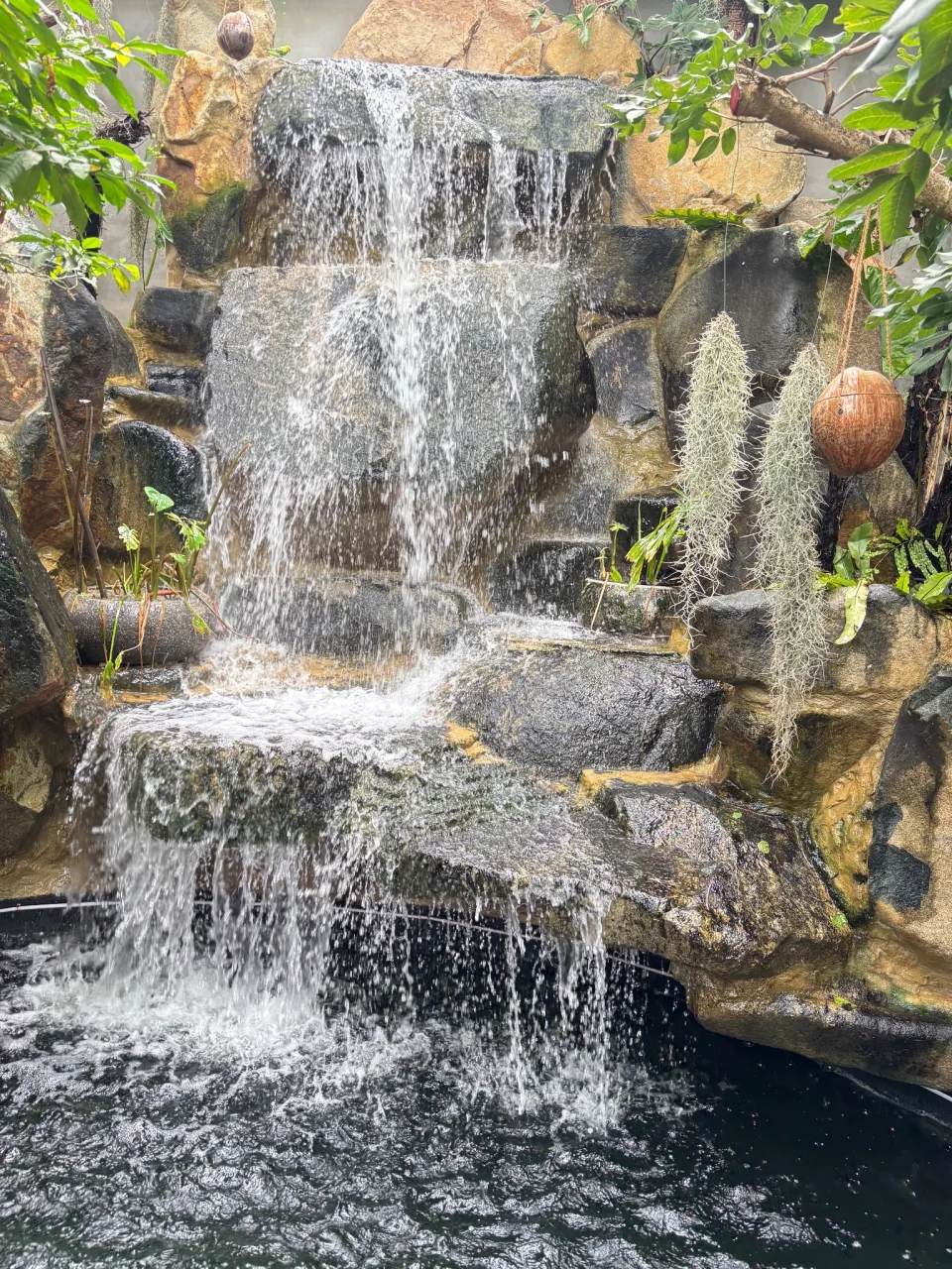 រូបថតទី 3 ក្នុងវិចិត្រសាលរបស់ ថ្ម១ដុំ cafè
